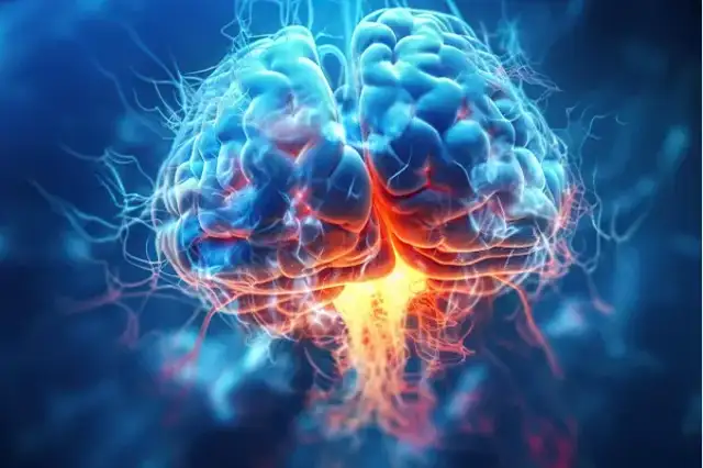 Stylized brain illustration accompanying head injury information