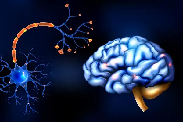 Brain and nerve signal illustration accompanying headache information